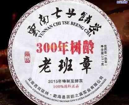 300年树龄老班章