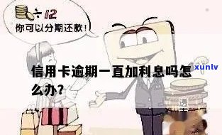 张一元普洱茶品质如何？值得购买吗？