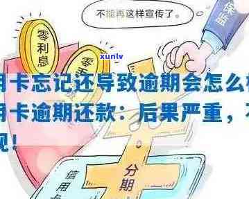 全面解析信用卡逾期问题：春雷行动曝光，如何避免逾期风险并解决还款困扰