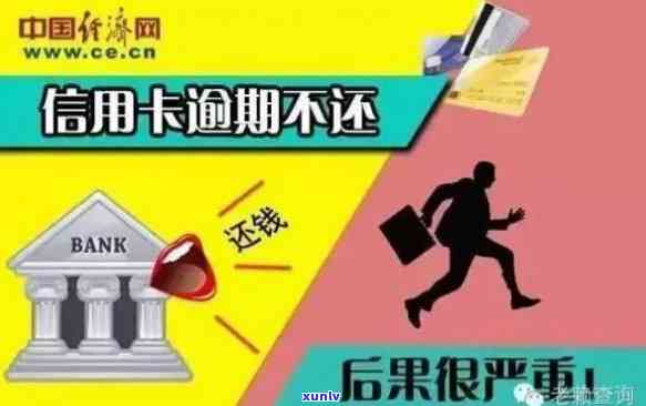 全面解析信用卡逾期问题：春雷行动曝光，如何避免逾期风险并解决还款困扰