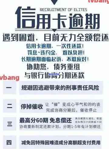 全面解析信用卡逾期问题：春雷行动曝光，如何避免逾期风险并解决还款困扰