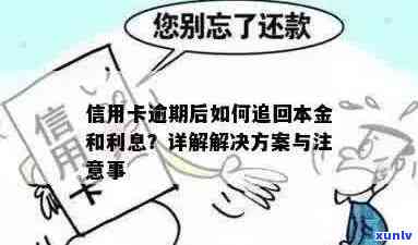 信用卡逾期利息要回来了怎么办？如何办理？