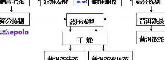 探究老班章熟茶的独特发酵技艺及其普洱茶文化内涵