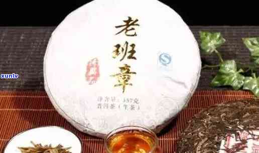 2007年生老班章茶500克：详细介绍，产地，口感和品饮 *** 的全面指南