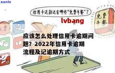 信用卡逾期漂白话术：2022年逾期流程与协商技巧，自救办法一网打尽！