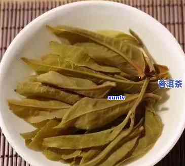 从 *** 到功效：全面解析老班章茶的泡法与健益处