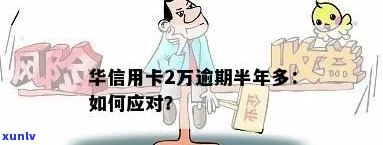 华信用卡逾期20元解决方案：如何处理、影响及预防措