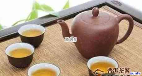 普洱茶选择：多大容量的壶更适合品尝普洱茶？