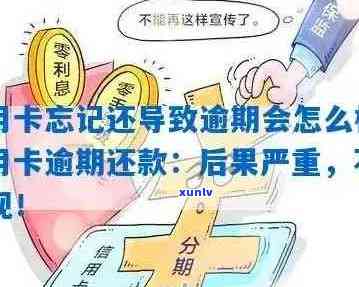 西安信用卡逾期还款怎么办？可能会产生哪些后果？如何避免逾期？