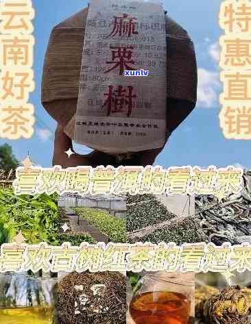 云南勐海班章山茶厂精选正宗普洱茶批发促销，源头直供品质保证