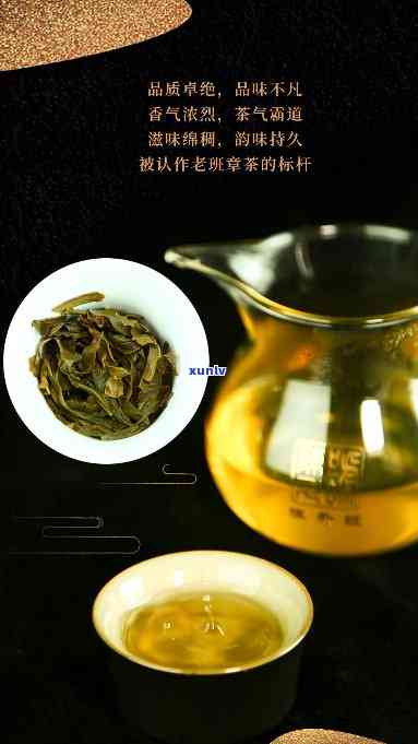 陈升号200克老班章：茶界传奇，品鉴尊贵人生