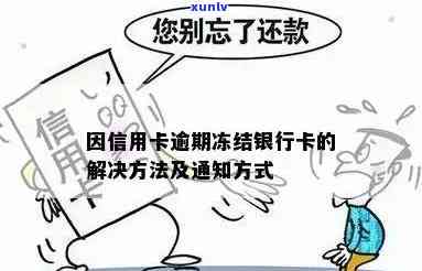 信用卡逾期导致银行卡被冻结怎么办？如何解决这个问题？