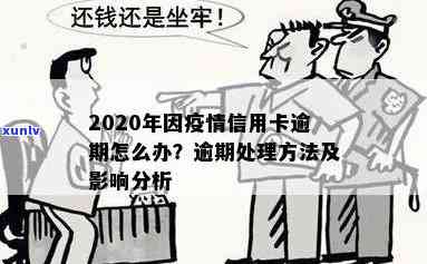 全面了解陈年普洱茶价格：7581型号普洱茶市场分析与价格参考