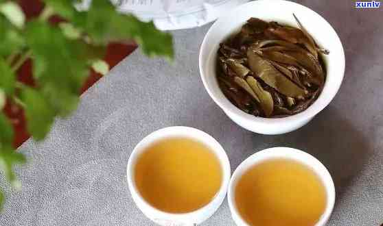 陈皮普洱：红茶还是白茶？探讨其茶类归属及其独特风味