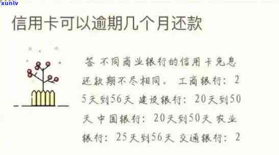 新信用卡逾期还款提示的含义及如何解决逾期问题