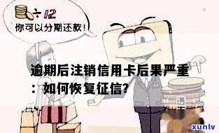 逾期后如何注销信用卡并恢复个人：详尽步骤与建议