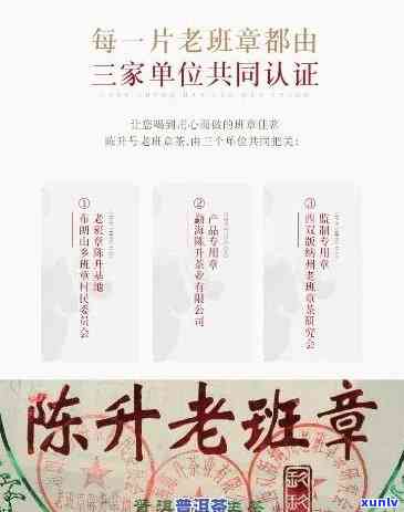 陈升号2020老班章1000克：详细介绍、口感体验与购买建议