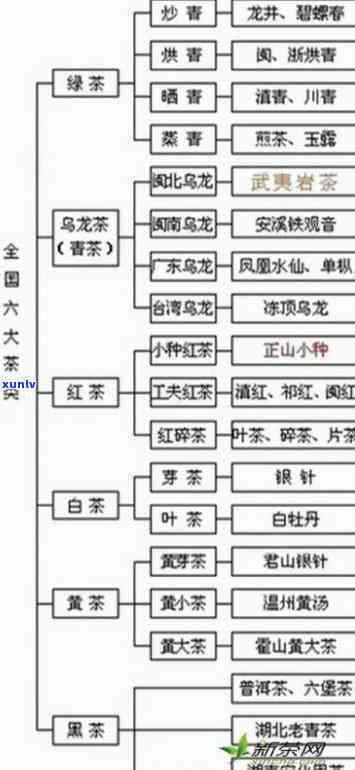 普洱分为哪几种