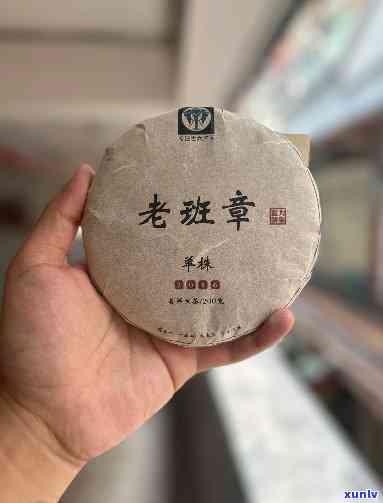 老班章单株古树红茶