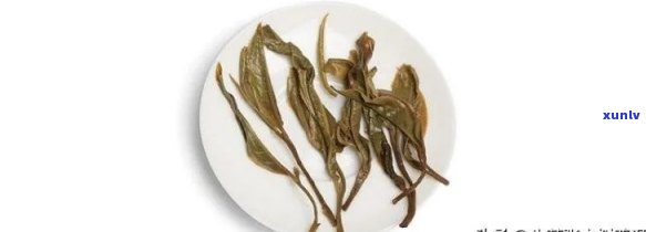 全面解析麻黑古树茶：鉴别 *** 、品质特点与饮用禁忌，助您轻松挑选优质茶叶