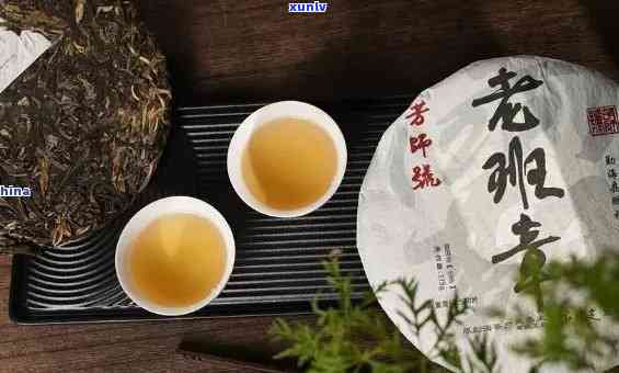 老班章官网：一站式解答关于茶叶的品质、 *** 、文化与品鉴问题