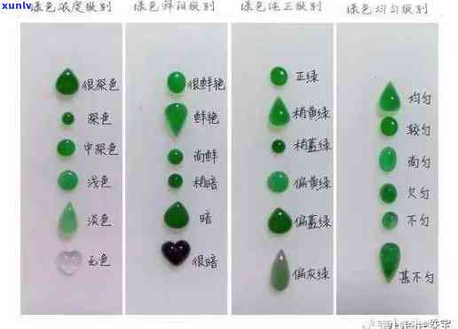 阳绿翡翠：颜色、选购、保养与价值全解析