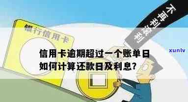 信用卡逾期还款利息计算方式与日利率相关解析