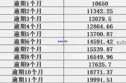 全国5月信用卡逾期