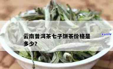 云南特产七子饼茶价格大全，最新报价及推荐