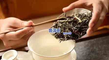 四大普洱茶厂对比：哪一家的茶叶更优质？