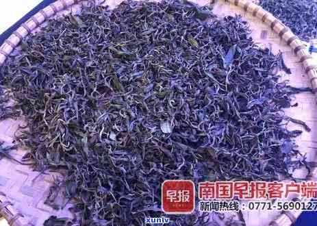 云南普洱县茶王茶厂 *** 工人信息及 *** 