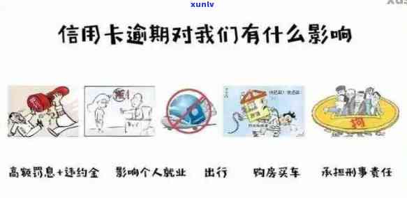 全面指南：如何应对保险行业信用卡逾期问题，从预防到解决一应俱全