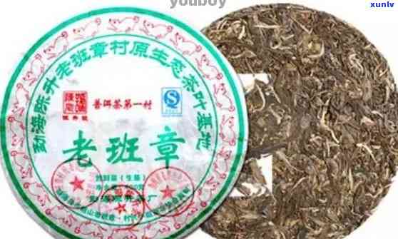 新全面了解永益堂老班章茶品质与口感，看这篇就够了！