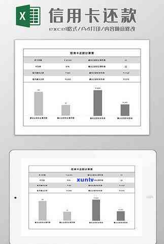 用excel信用卡逾期公式