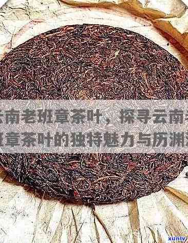 探索勐海生态古树茶的奥秘：老班章茶叶的独特魅力与品质