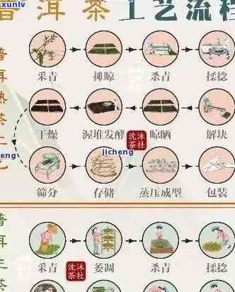 班章普洱茶百科全书：历、 *** 、品鉴与收藏攻略