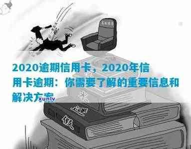 2020年信用卡逾期信息