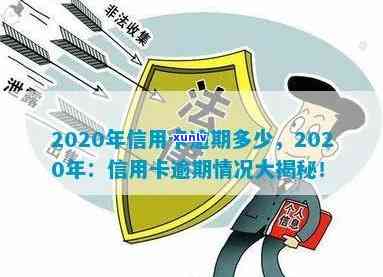 2020年信用卡逾期信息