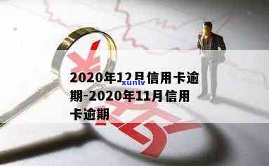 2020年信用卡逾期信息