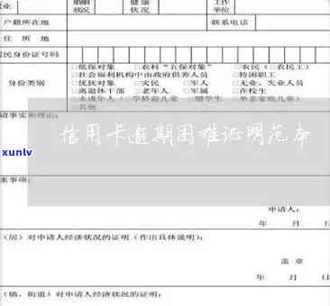 信用卡逾期情况说明范文