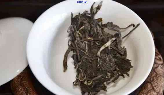 如何正确泡制老班章茶，以获得口感和品质？