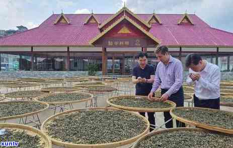 华祥苑老班章普洱茶：一款值得品鉴的独特茶品，京东购买享受优价