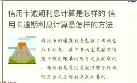 建设信用卡逾期怎么算利息：计算 *** 与实际费用解析