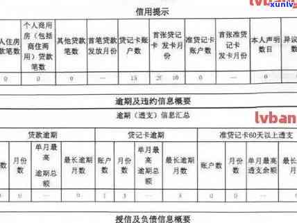 小额度信用卡逾期：清除记录、影响、子女上大学、起诉时间与解决策略