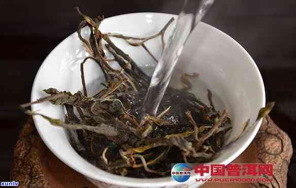 老班章古树茶怎么泡