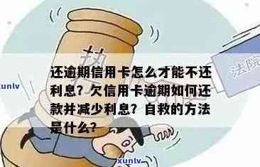 逾期3天还款，信用受损如何补救？