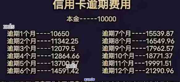 信用卡逾期半年后，信用记录恢复的可能性及其影响因素全解析