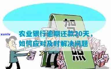 农行信用卡逾期三个月还款25,000元：如何解决逾期问题并尽快还清款项？