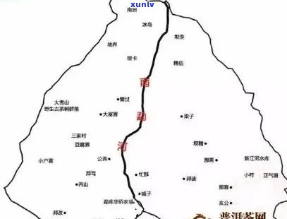 老班章茶：品种、产地、特点及饮用 *** 的全面解答