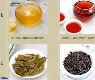 普洱茶：红茶、绿茶还是黑茶？揭秘普洱茶的分类与特点